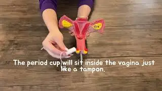 Period Product Series: How to Use a Menstrual Cup or Disc