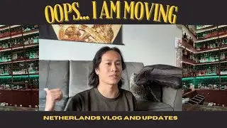 Oops I'm moving out of the Netherlands (for a bit) | Netherlands vlog