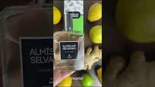 Kit Perfume Masc. - Alm&iacute;scar Selvagem 100ml + Dark Code 30ml