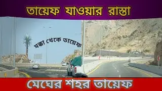 তায়েফের রাস্তা#lifestyelvlogs #shortsviral #viralvideo #dailyvlog #taif #mukkamnews #banglavlog 