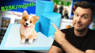 [REVEALED] The Most Profitable Amazon FBA Categories You SHOULD Be Selling In! (2025)