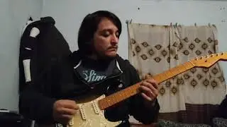 Fender Super 112