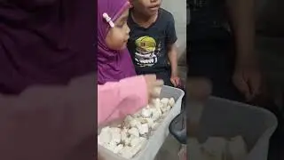 💯 LIBURAN SERU , BIKIN STUFF ROTI ALA ECA 🥪😍 #nawifa #viralvideo #shorts #fypシ゚viral #anakindonesia