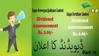 Engro Fertilizer Company Limited