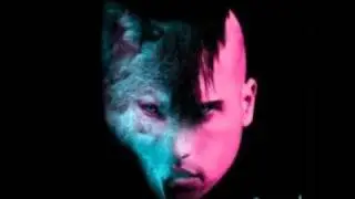 Animal by Neon Trees Tyler Glenn Remix