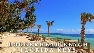 [4K] Loggerhead Beach BAHIA HONDA - FLORIDA KEYS - Relaxing Scenic Walking Tour with Binaural 🎧