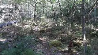 pre harvest Oliver's trail pt2