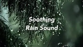 Soothing Rain Sounds - Short Clip