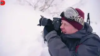 Перчатки для фотосъемки Vallerret Ipsoot