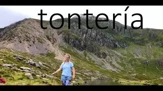 tonter&iacute;a - hepzi
