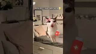 POV: рутина при гриппе🤧#kittypov #грипп #аптека #лекарство #мать #больной #грипп #испорченный #pov