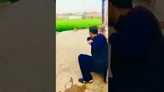 #desi sports #funny #shorts
