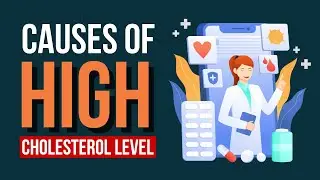 6 Shocking Causes of High Cholesterol Levels