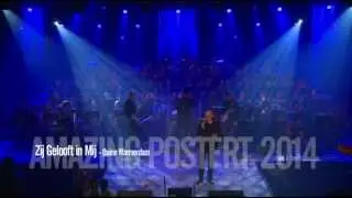 Andr&eacute; Hazes medley | Quinn Warmerdam | Amazing Postert