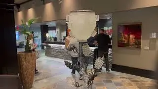 I stayed at the Hotel Arts in Calgary!