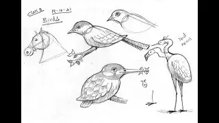 Joy of sketching Class 3 | Easy pencil sketching and shading | free Art classes