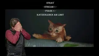 StrayStream 1 - Folge 1 - Katzenleben am Limit