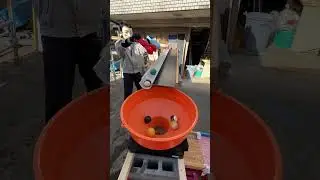 Marble run DIY wooden rain gutter relaxing slope roll down8 #asmr