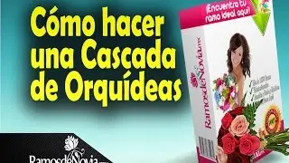Cómo hacer un Ramo de Novia en Cascada con Orquídeas. www.RamosdeNovia.Mx