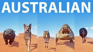 Australian Animals Speed Races in Planet Zoo included Binturong, Crocodile , kangaroo etc