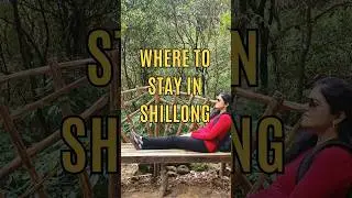 Top Stays in Shillong: Best Hotels & Hidden Gems for Your Trip! 🏨✨