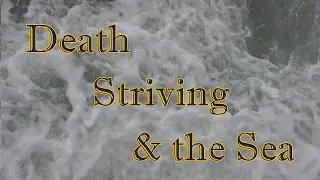 Death, Striving, & the Sea (the story of a grebe)