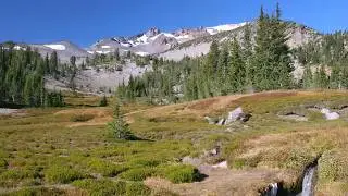 10 More Strangest National Park Disappearances - Volume 41