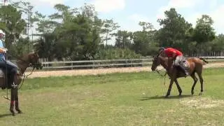 TK's First Polo Lesson!