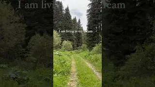Am I dreaming? #dream #nature #turkey #bolu #camping #gezi #travel #shortvideo #discover #keşfet