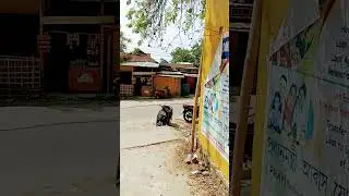 Golaghat Assam Northeast India #shorts #short