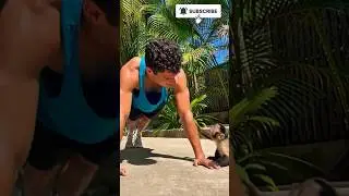 Monkey Doing Gym Workout 🏋️🐒 | Funny Monkey Fitness | Viral Shorts #asmr #animals #viral
