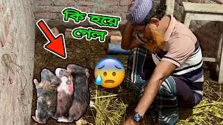বার বার কেন আমাদের সাথে এমন হয়ে😥😥😥