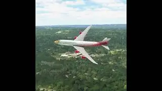 the pilot's actions endangered the plane's passengers EP281
