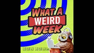 What a Weird Week Fri July 11, 2025: Scientific Dad Bod Breakthrough and more! #weirdnews