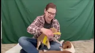 Dory Bubbles Crush