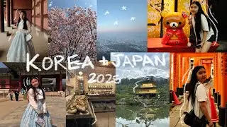 Study abroad adventures in Japan: Exploring Seoul and moving to Tokyo