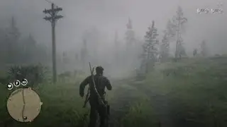 RDR2 Hogtie Headshot