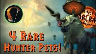 Get these 4 Rare Hunter Pets in the War Within!