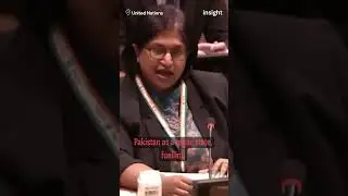 INDIAN DIPLOMAT AT UN SHAMES PAKISTAN | INSIGHT MEDIA