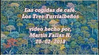 Los Tres Turrialbe&ntilde;os - Las cogidas de caf&eacute;.