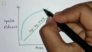 How To Draw Species area relationship graph