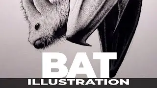 Bat Illustration | Pen & Ink Time Lapse