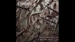 Exsanguinate - Bowel Resection Of Anastomotic Dehiscence