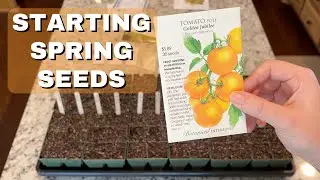 Starting Spring Seeds | Spring Vegetable Garden