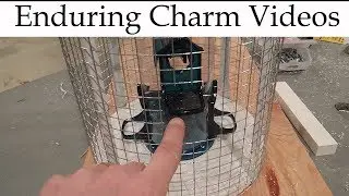 DIY Animal Proof Birdfeeder