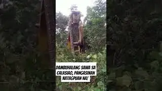 Dambuhalang sawa sa Calasiao, Pangasinan, NATAGPUAN NA! 😱😱 #calasiao #ahas #pangasinan  #snake
