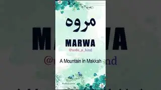 🌹Marwa🌹 | Name Meaning Status || Urdu e Hind Official |