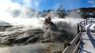 Mid-Winter Walk Through Yellowstone's Mammoth Hot Springs Terraces 4K - 1/29/25