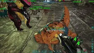 [ARK] Maku feeding Hani spoiled meat
