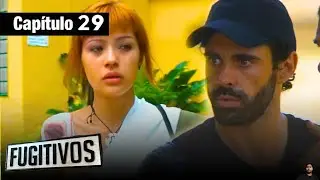 Fugitives - Chapter 29 - Action and Narcos - Complete Series in Spanish | Review